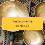 Instruments In Nepali- Featured Ling App