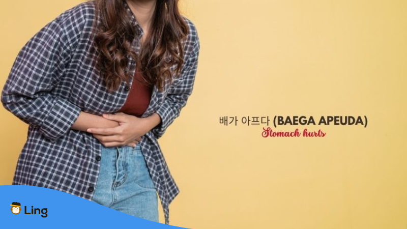 Korean Idioms Baega Apeuda