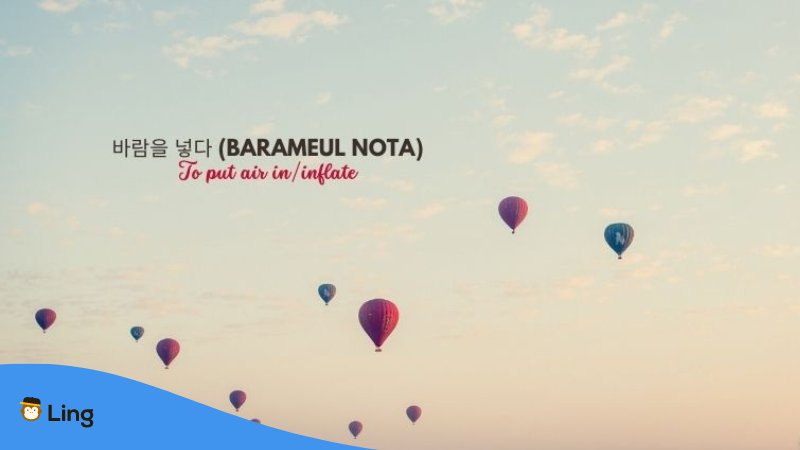 Korean Idioms Barameul Nota