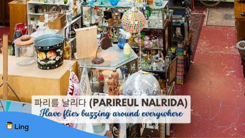 Korean Idioms Parireul Nalrida