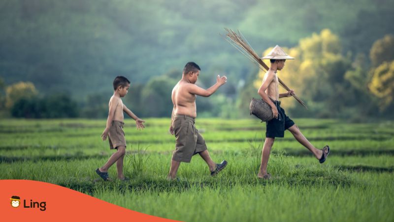 Drei Jungen spazieren gemeinsam durch ein Reisfeld in Laos