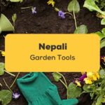 Nepali Garden Tools_ling app_learn nepali_Gardening Tools