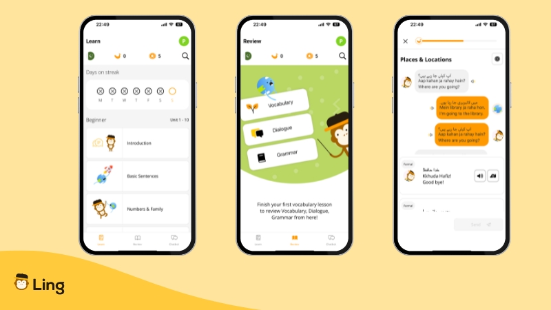 No Urdu On Rosetta Stone-ling-app-interface