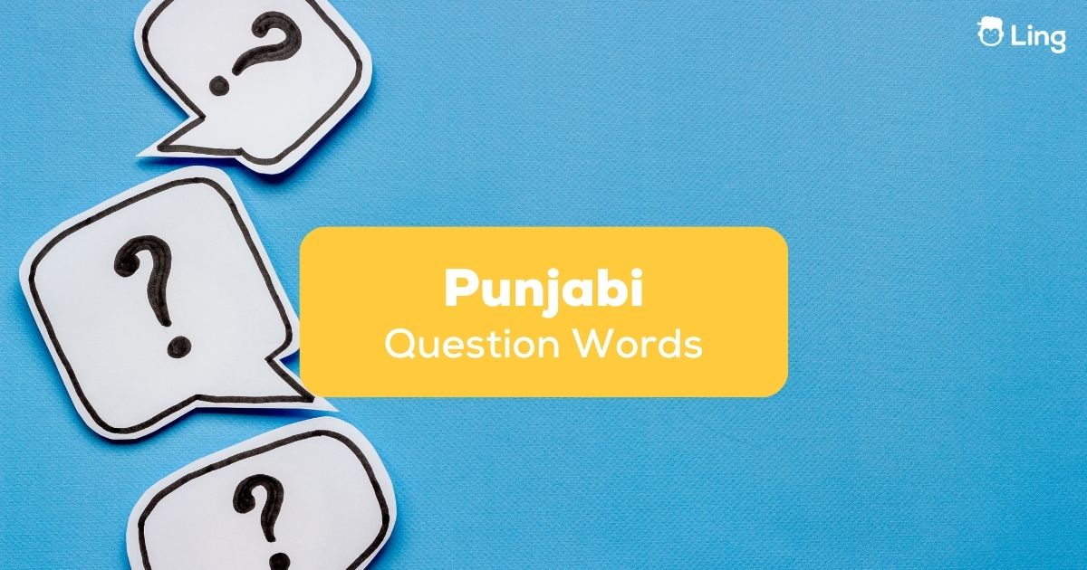 Meaning of Learning with Definitions // In English and Punjabi // Teaching  Learning Process 