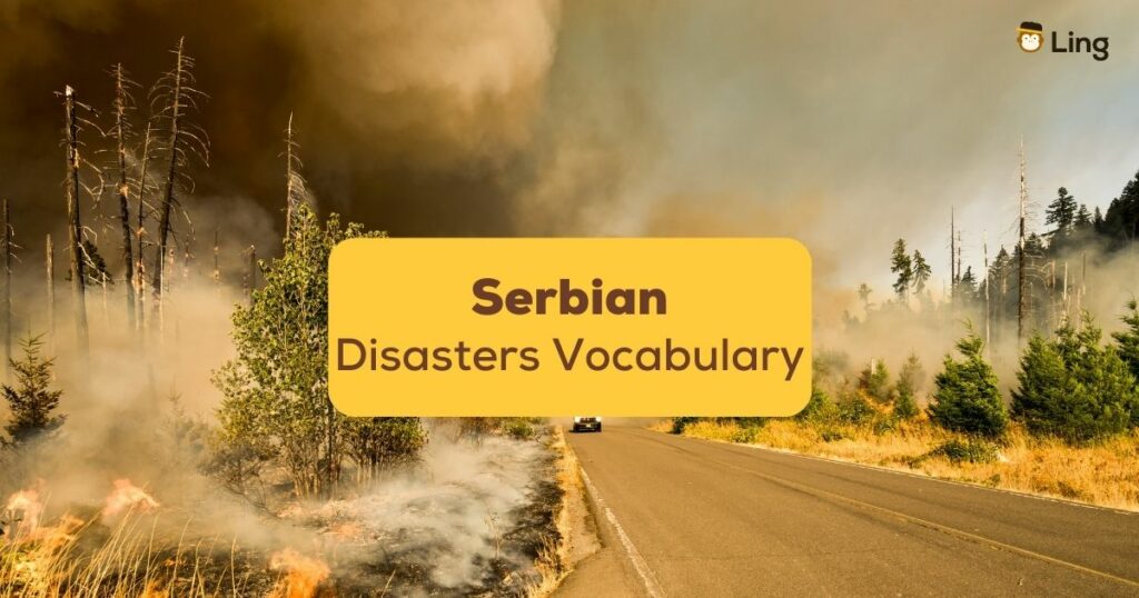 serbian disasters vocabulary ling app