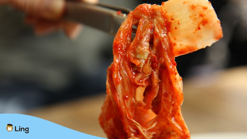 Vegetarian In South Korea (Vegan Kimchi)- Ling App