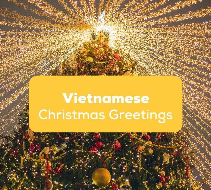 Vietnamese Christmas Greetings Featured- Ling App