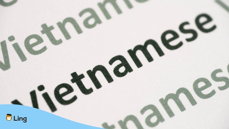 Vietnamese Grammar Ling App nouns
