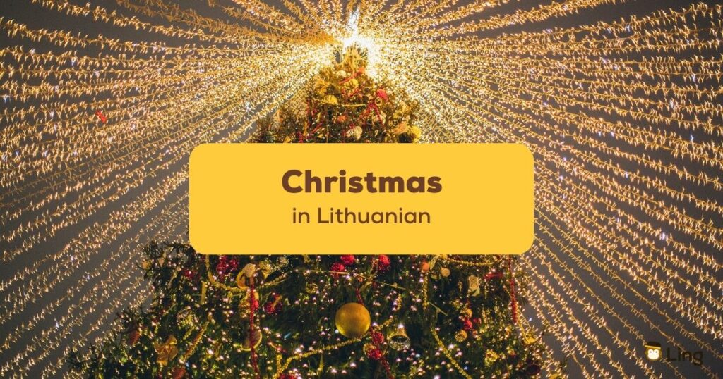 Christmas in Lithuanian Ling App