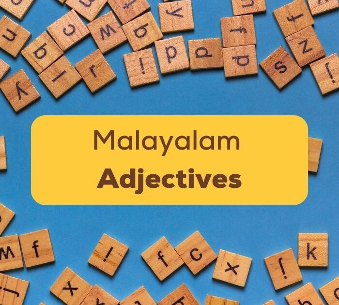 Malayalam Adjectives Ling app