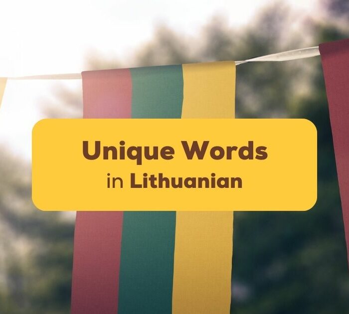 Unique Lithuanian Words Ling App