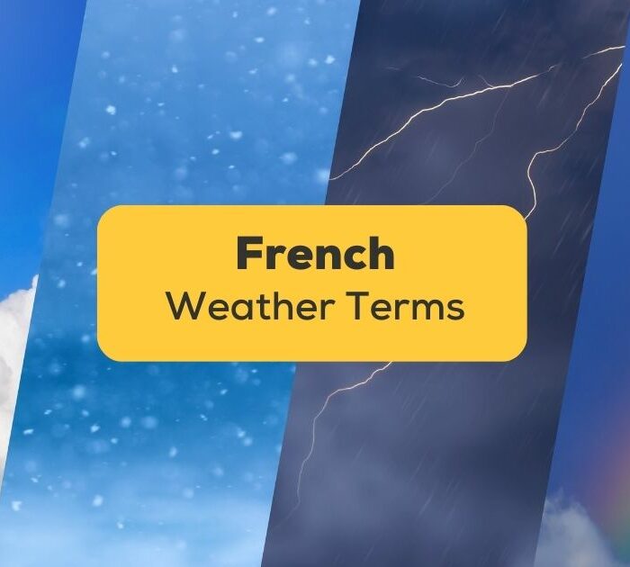 20+ Easy French Weather Terms For Total Beginners