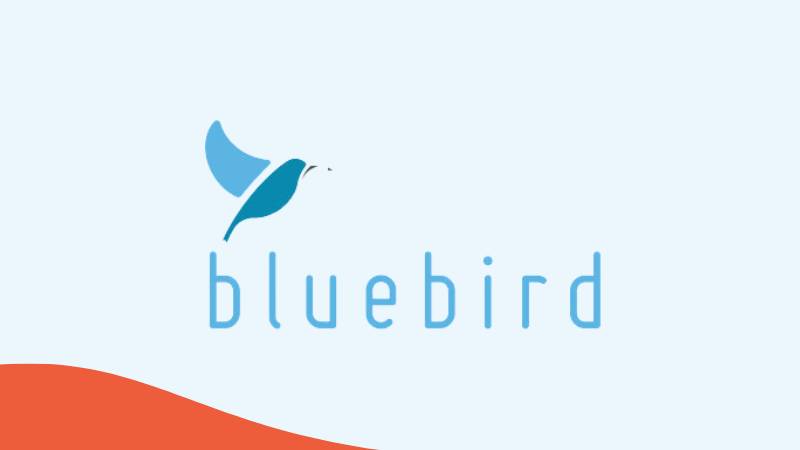 Besten Apps zum Albanisch lernen Bluebird