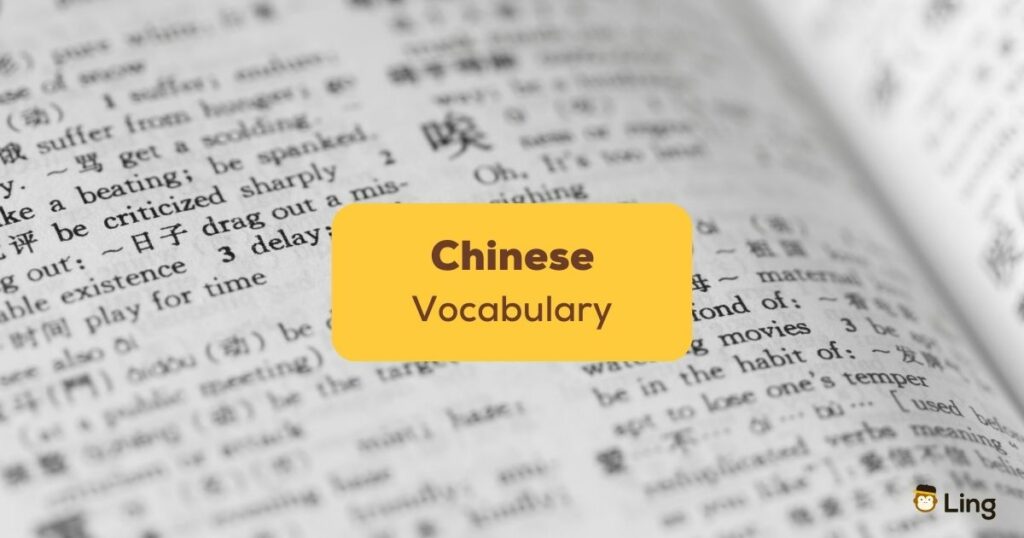 Chinese Vocabulary Ling App