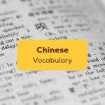 Chinese Vocabulary Ling App