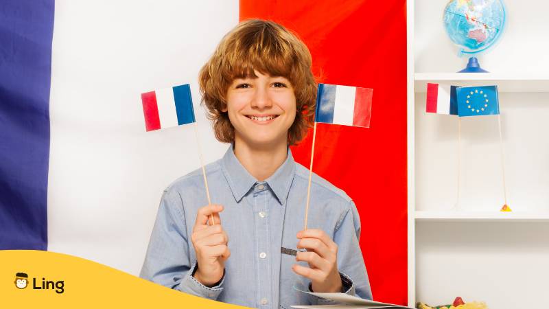 Französische Adjektive leicht mit Ling lernen Singular Plural