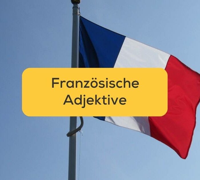 Französische Adjektive mit Ling lernen französische Flagge weht im Wind