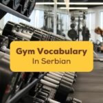 Gym-Vocabulary-In-Serbian-Ling-App-2