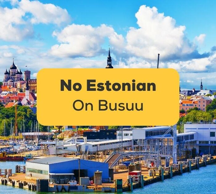 No Estonian On Busuu-ling-app-city