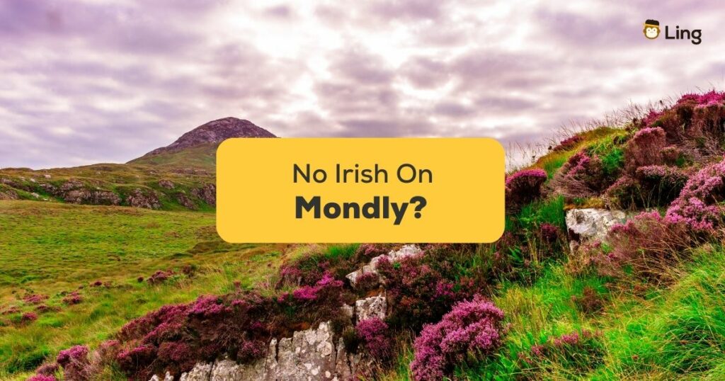 No Irish On Mondly #1 Best Alternative!