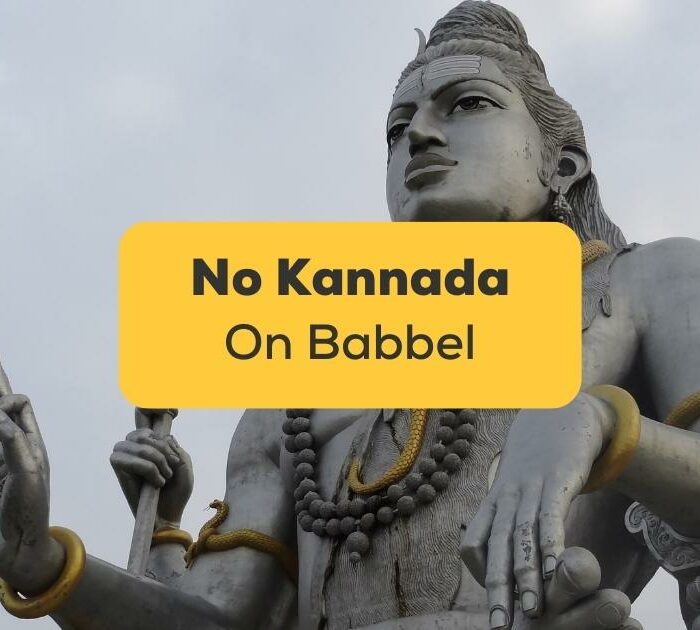 No Kannada On Babbel-ling-app