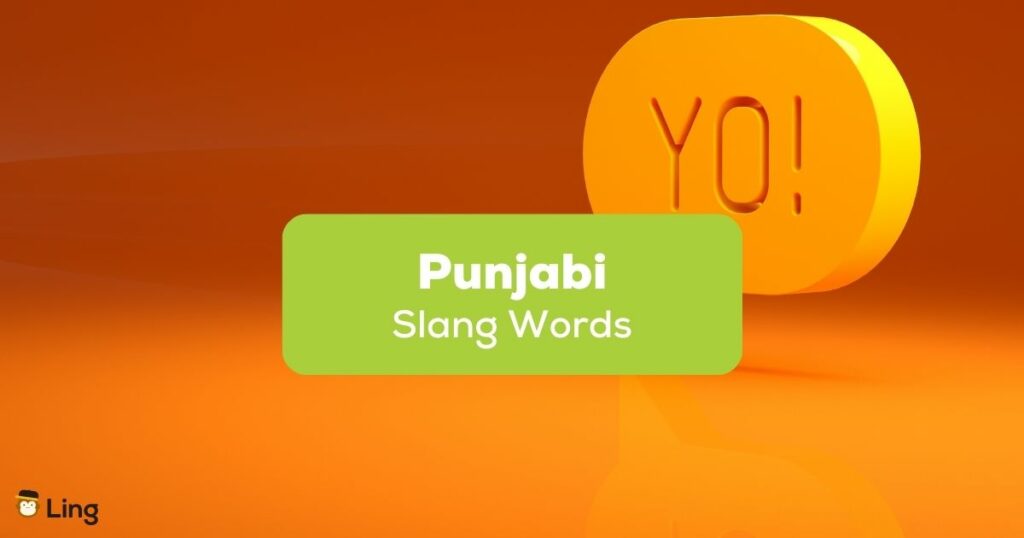 Punjabi slang words