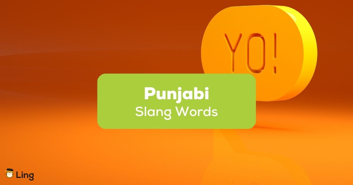 15 Funny Punjabi Slang Words And Phrases Ling App