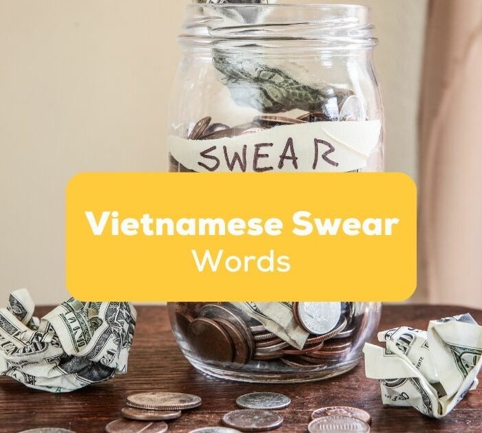Vietnamese Swear words- Featured Ling App
