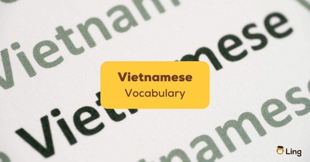 Vietnamese Vocabulary Ling App