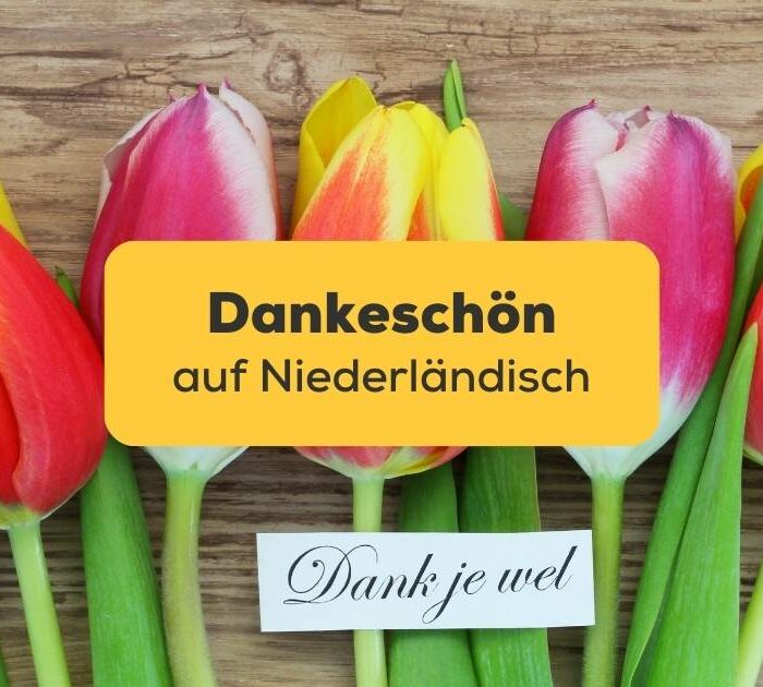Dankeschön auf niederländisch "Dank je wel"