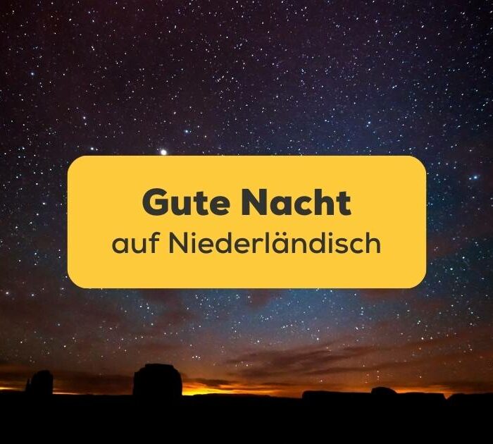 Dunkler Nachthimmel voller Sterne um Gute Nacht auf Niederländisch zu wünschen Ling-App