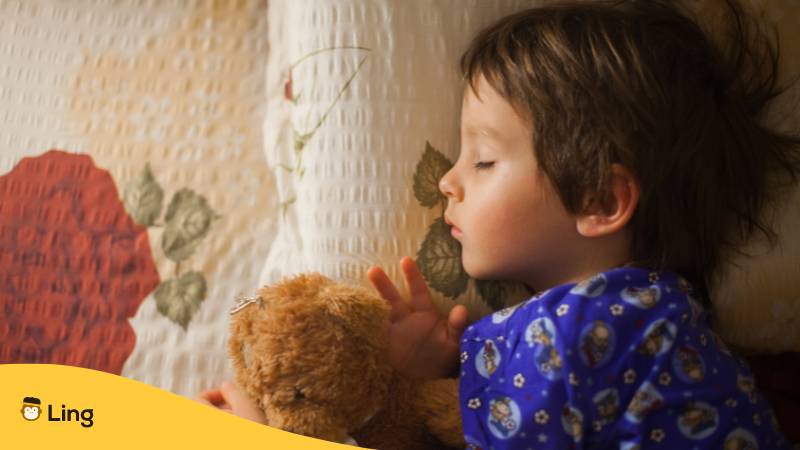 gute nacht auf niederländisch aus der Ling-App Kind schläft mit Teddy