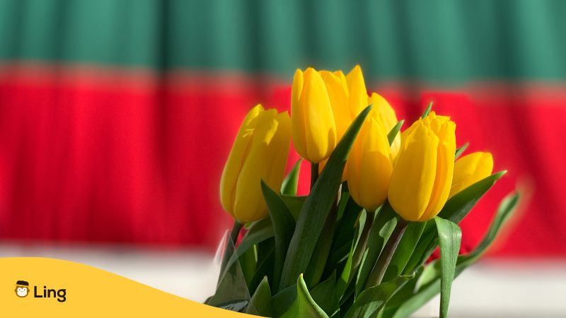 Lithuanian calendar Nepriklausomybės Diena Independence Day