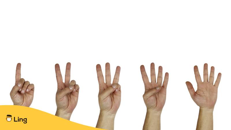 Fünf Hände zeigen mit den Fingern unterschiedliche Zahlen von eins bis fünf
