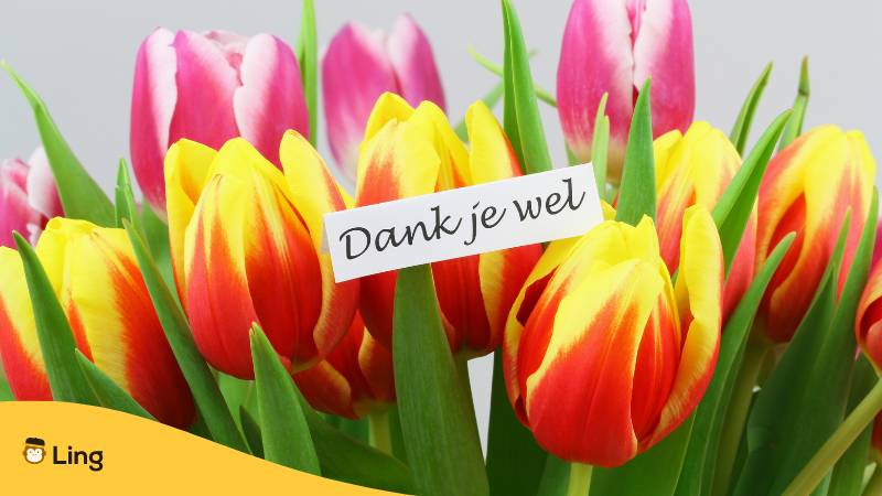 Orange und rosa Tulpenstrauß mit einer Notiz auf der Dank je wel steht, was Danke auf Niederländisch bedeutet