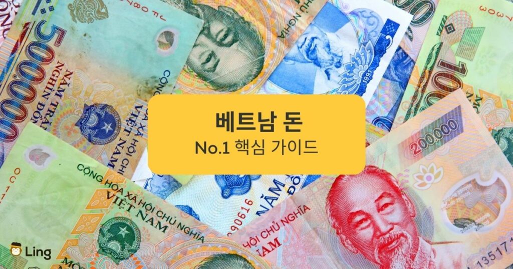 베트남 돈 No.1 핵심 가이드 Ling app Vietnam Money No.1 Essential Guide