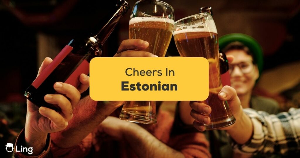 #1 Best Guide How To Say Cheers In Estonian