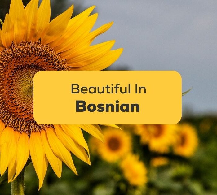 #1 Best Guide On Saying Beautiful In Bosnian