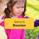 #1 Best Guide Sorry In Bosnian