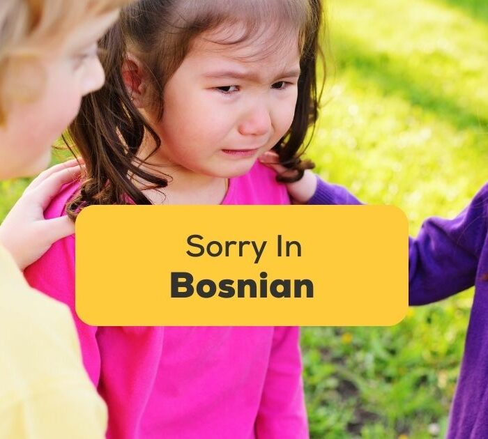 #1 Best Guide Sorry In Bosnian