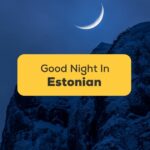 #1 Best Way To Say Good Night In Estonian