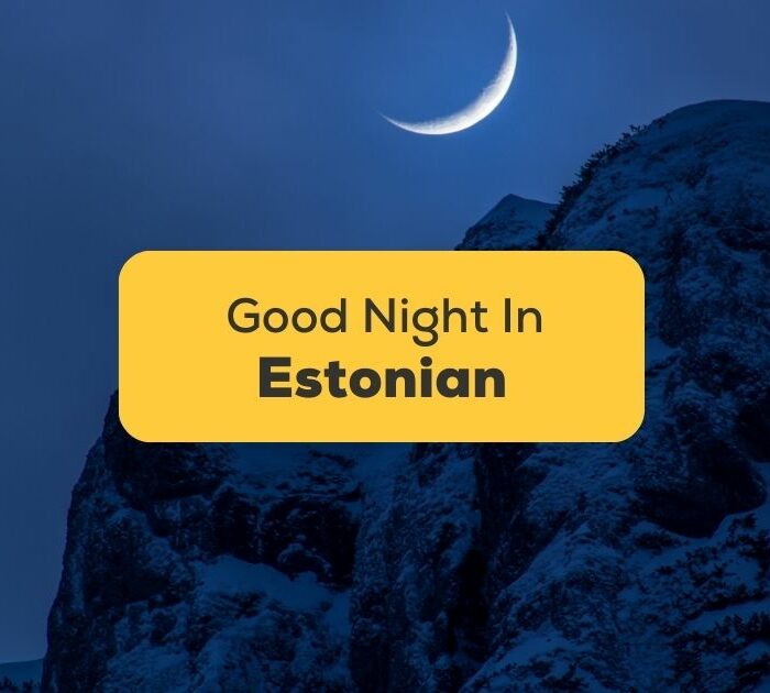 #1 Best Way To Say Good Night In Estonian