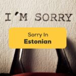 3+ Easy Ways To Say Sorry In Estonian