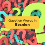 4+ Easy Question Words In Bosnian
