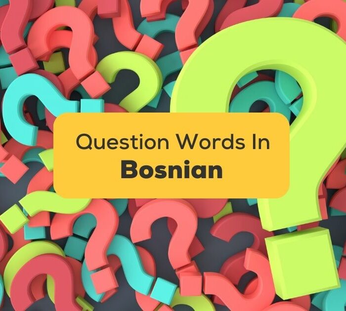 4+ Easy Question Words In Bosnian