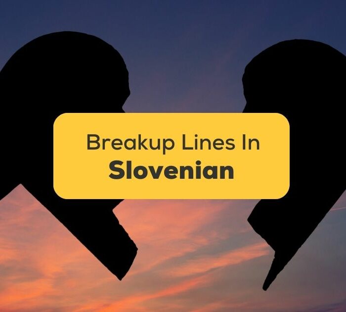 5 Best Break Up Lines In Slovenian