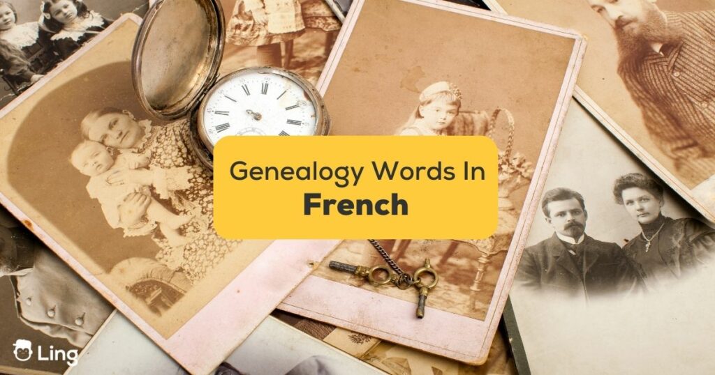 8 Easy French Genealogy Words For Beginners