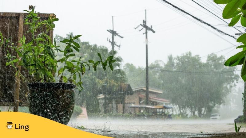 Arabic Synonyms For The Word Weather