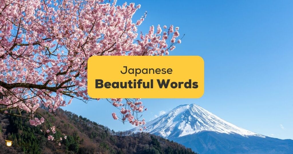 Beautiful-Japanese-Words-ling-app-cherry-blossom-and-mount-fuji