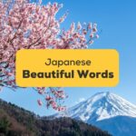 Beautiful-Japanese-Words-ling-app-cherry-blossom-and-mount-fuji